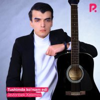 Постер песни Жавлонбек Хатамов - Tushimda ko'rsam edi