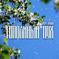 Постер песни Андрей Оршуляк - Тополиный пух