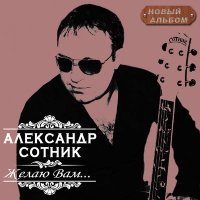 Постер песни Александр Сотник - Журавли