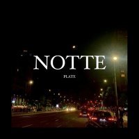 Постер песни Plate - NOTTE