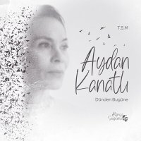 Постер песни Aydan Kanatlı - Kemancı