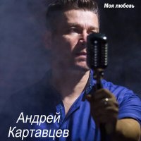 Постер песни Андрей Картавцев - Не рви мне душу (Remix)