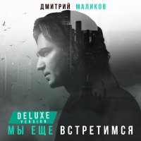 Постер песни Дмитрий Маликов - Мы ещё встретимся