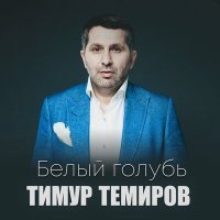 Постер песни Тимур Темиров - Друзей и денег