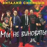 Постер песни Виталий Синицын - Мы не виноваты