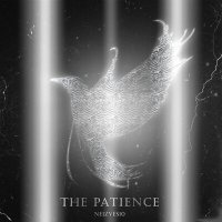 Постер песни neizves10 - The Patience