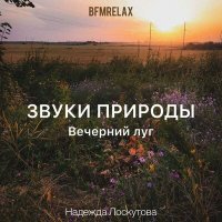 Постер песни Надежда Лоскутова - Звуки природы. Вечерний луг