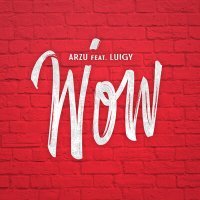 Постер песни Arzu, Luigy - Wow