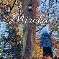 Постер песни Артем Некрасов - Мирока