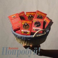 Постер песни Raisins - Бобсик