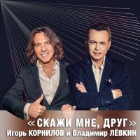 Постер песни Владимир Лёвкин, Игорь Корнилов - Скажи мне, друг