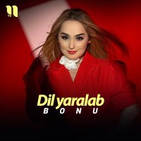 Постер песни Bonu - Dil yaralab