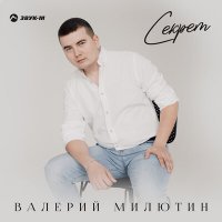 Постер песни Валерий Милютин - Секрет