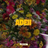 Постер песни Roos - Adeii