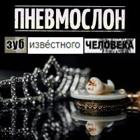 Постер песни Пневмослон - Питер–Воронеж