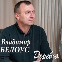 Постер песни Владимир Белоус - Деревья