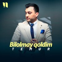 Постер песни Temur - Bilolmay qoldim