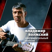 Постер песни Владимир Волжский - Нелюдимая