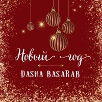 Постер песни Dasha Basarab - Новый год
