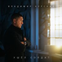 Постер песни Владимир Курский - Ушёл солдат