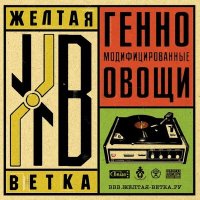 Постер песни Жёлтая Ветка - Опять дорога