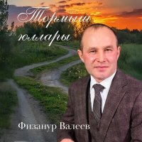 Постер песни Физанур Валеев - Тормыш юллары