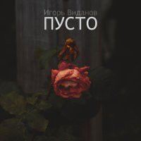 Постер песни Игорь Виданов - Пусто
