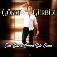 Постер песни Gökay Gürbüz - Sen Bana Oldun Bir Ceza