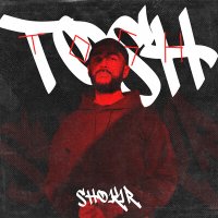 Постер песни Shokir - Tosh