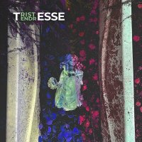 Постер песни Tesse - Песни севера