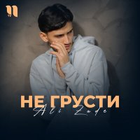 Постер песни Ali Zade - Не грусти