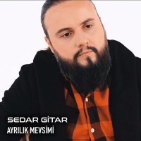 Постер песни Serdar Gitar - Ayrılık Mevsimi