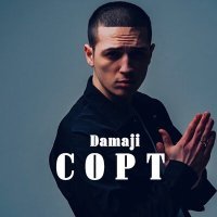 Постер песни Damaji - Сорт