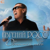 Постер песни Евгений Росс - Обнимая небо (Remake)