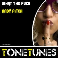 Постер песни Andy Pitch - What The Fuck