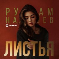 Постер песни Рустам Нахушев - Листья