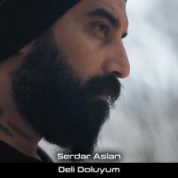 Постер песни Serdar Aslan - Deli Doluyum