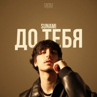 Постер песни SUNAMI - До тебя