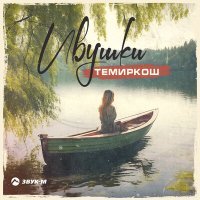 Постер песни ТемирКош - Ивушки