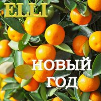 Постер песни ELLI - Новый год