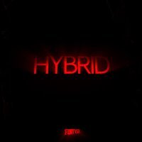 Постер песни FORTYSIX - HYBRID