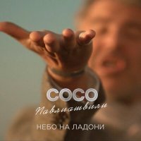 Постер песни Сосо Павлиашвили - За ним правда