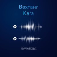 Постер песни Вахтанг, Kara - Пара голосовых