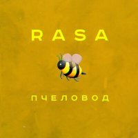 Постер песни RASA - Пчелы