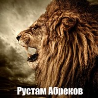 Постер песни Рустам Абреков - Малика (Кумыкская)