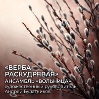 Постер песни Ансамбль "Вольница", Андрей Булатников - Очи чёрные