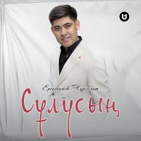 Постер песни Еренгаипов Нұрболат - Сұлусың