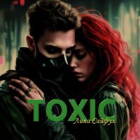 Постер песни Лина Сайфул - Toxic