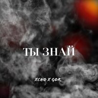 Постер песни Xcho, GoR - Ты знай