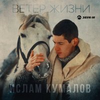 Постер песни Ислам Кумалов - Ветер жизни